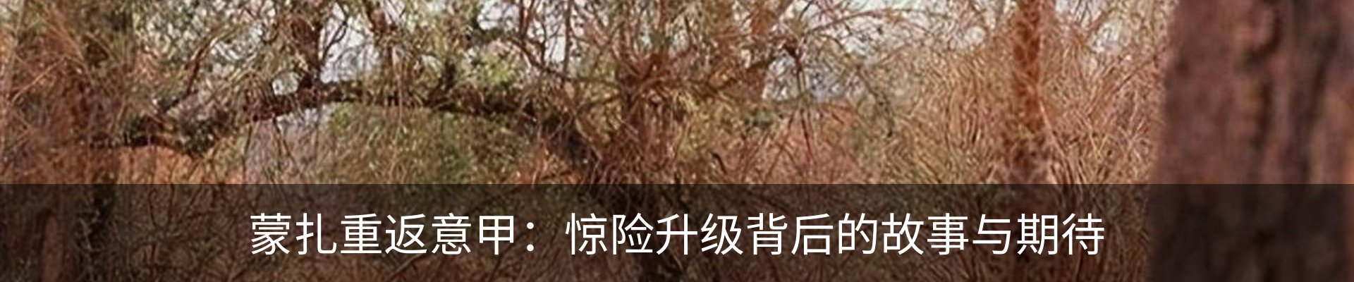 热点资讯