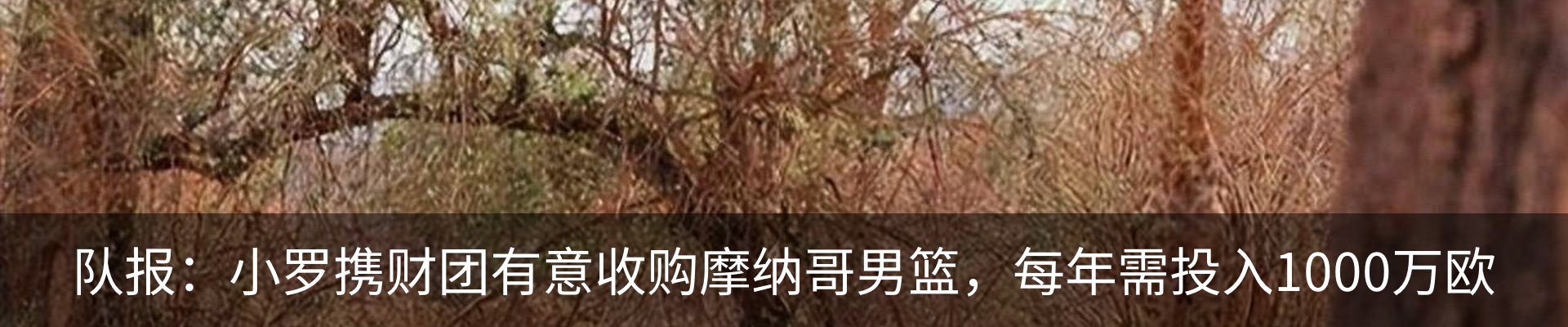 热点资讯