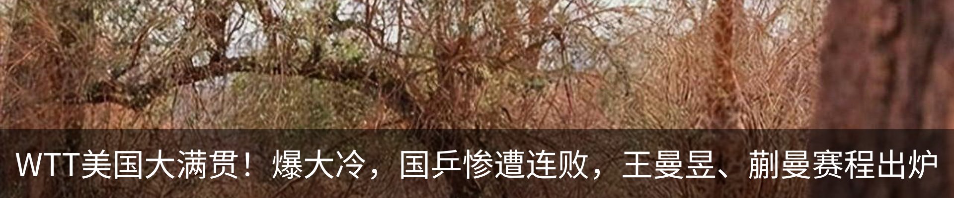 热点资讯